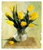 Схема вышивки «Натюрморт с жёлтыми тюльпанами»