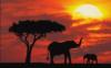 Африканские закаты.часть2: оригинал