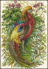Схема вышивки «Райская птица»