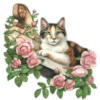 Схема вышивки «Кошка и розы»