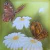 Схема вышивки &laquo;Бабочки и ромашки&raquo;
