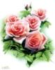 Схема вышивки «Зенг ксиао лиан - цветы»