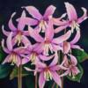 Подушка "erythronium": оригинал