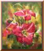Схема вышивки &laquo;Цветы&raquo;