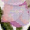 Светло-розовые лилии: предпросмотр