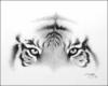 Схема вышивки «Глаза тигра»
