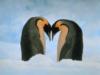Схема вышивки «Penguin Love»