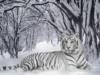 Схема вышивки «Белый тигр в снежном лесу»