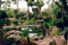 Japaanese garden: оригинал