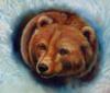Схема вышивки «Портрет медведя»