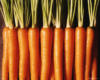 Схема вышивки «Морковки»