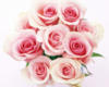 Схема вышивки «Цветы 7 роз»