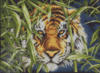 Схема вышивки «Тигриный взгляд»