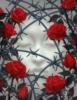 Схема вышивки «Проволока и розы»