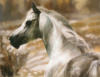 Белый конь: оригинал