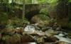 Мост в лесу: оригинал