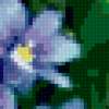 Поле синеньких цветочков: предпросмотр