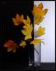 Схема вышивки «Натюрморт с кленовыми листьями»