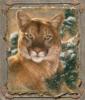Схема вышивки «Портрет дикой кошки»