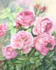 Схема вышивки «Садовые розы»