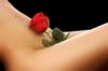Схема вышивки «Роза на теле........»