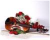 Схема вышивки «Скрипка и розы 7»