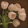 Stylish Decoration - Tulips: оригинал