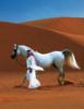 Схема вышивки «Horse in the Desert»