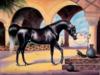 Arabian Horse: оригинал