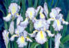 Схема вышивки «Moonlight Irises»