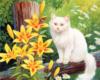 Белый кот и желтые лилии: оригинал