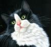 Схема вышивки «Черно-белый котик»
