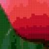 Розовые тюльпаны: предпросмотр