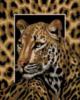 Схема вышивки «Панно " леопард"»