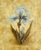 Flower Decoration - Blue Blooms: оригинал