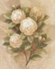 Схема вышивки «Flower Decoration - Gardenia»