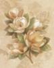 Схема вышивки «Flower Decoration - Magnolia»
