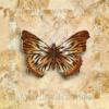 Butterfly Tiger ;): оригинал