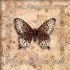 Схема вышивки «Butterfly Cheetah»