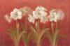 White Amaryllis on Red: оригинал