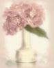Flower Decoration - Hydrangea: оригинал