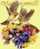 Схема вышивки «Птички и цветы»