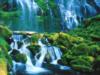 Тропический водопад: оригинал