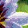 Purple water lily: предпросмотр