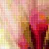 Flower Decoration - Magnolia: предпросмотр