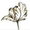 Схема вышивки «Black and White Tulips - Easy»