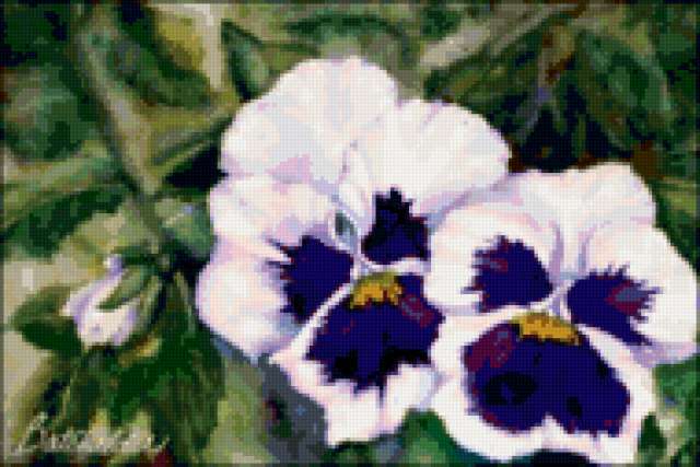 , fialki, svetq, buket