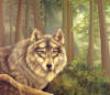 Схема вышивки «Волк в лесу»