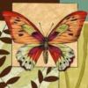 Butterfly Decoration: оригинал