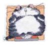 Схема вышивки «Подушка "толстый кот"»